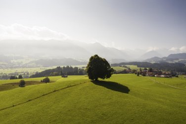 Images from DJI Mavic 2.jpg